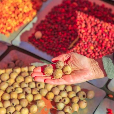 A tray filled with different coloured seeds and grains; a hand scooping a pile of round seed pods